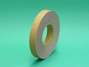 SܕtTAEe[v803TAE24mmx50m