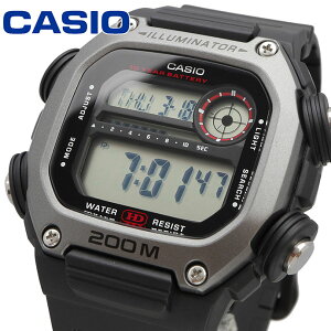 CASIO rv JVI v EHb` `[vJVI `vJV fW^ Y DW-291H-1AV [sAi]