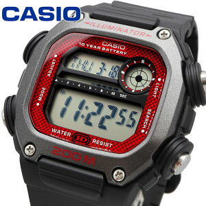 CASIO rv JVI v EHb` `[vJVI `vJV fW^ Y DW-291H-1BV [sAi]