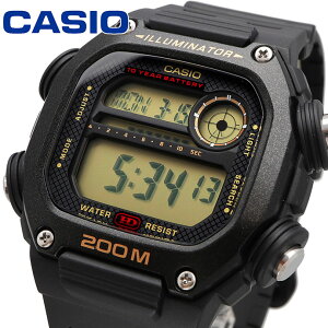 CASIO rv JVI v EHb` `[vJVI `vJV fW^ Y DW-291H-9AV [sAi]