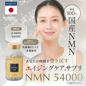 HiTOKi ��Ȋw�V���[�Y NMN 54000 �T�v�������g