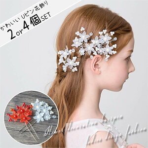 10%ItN[| 2or4Zbg Usԏyzt[ wAs    񂴂  l  q LbY xr[ fB[X \ sAm _Xߑ hn 