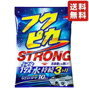 SOFT99 V[g vNsJXgO Eϋv\^Cv 10