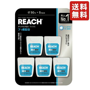 [` f^tX tbfztX 50m ×5Zbg I[PA oPA f^PA