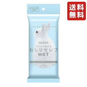 qlsA lsA ZuWET łp 12 ێ qA_ R[Q XN mAR[  pxt[ @