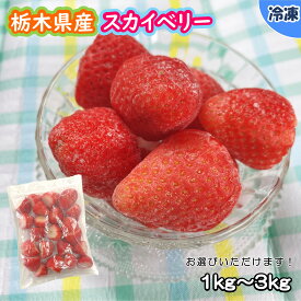 【業務用食材】栃木県産スカイベリー　/　1キログラム（1キログラム）冷凍