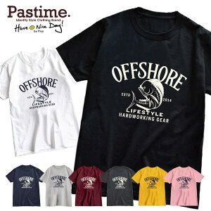 vg TVc Y  tVc fB[X jZbNX  ST AEghA Xg[g JWA AJW tBbVO ނ   tBbV jp  