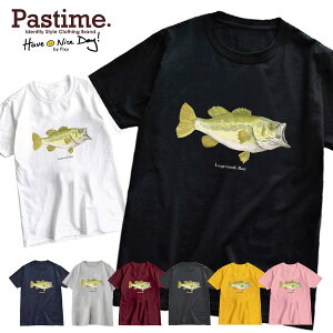 vg TVc Y  tVc fB[X jZbNX  ST AEghA Xg[g JWA AJW tBbVO ނ   tBbV jp  