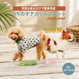 オリジナル アクリルスタンド 犬 猫 写真 オーダーメイド うちの子 アクスタ アクスタ ペット 名入れ 切り抜きサービス付き 愛犬 メモリアル 思い出 プレゼント ギフト 記念日 誕生日 フォトスタンド Pixy Coco