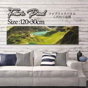 �t�@�u���b�N�p�l�� 120x30cm �A�[�g�p�l�� �f�U�C���p�l�� ������ ���� �C���e���A �A�[�g �p�l�� �Ǌ|�� DIY �I�V���� �t�H�g�p�l�� �E�H�[���A�[�g �k�� �k���� �X�� �J�t�F �T�}�[ �� �T�[�t