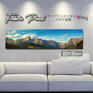 �t�@�u���b�N�p�l�� 120x30cm �A�[�g�p�l�� �f�U�C���p�l�� ������ ���� �C���e���A �A�[�g �p�l�� �Ǌ|�� DIY �I�V���� �t�H�g�p�l�� �E�H�[���A�[�g �k�� �k���� �X�� �J�t�F �i�F �R �� �C �[