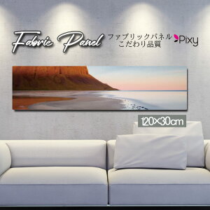 �t�@�u���b�N�p�l�� 120x30cm �A�[�g�p�l�� �f�U�C���p�l�� ������ ���� �C���e���A �A�[�g �p�l�� �Ǌ|�� DIY �I�V���� �t�H�g�p�l�� �E�H�[���A�[�g �k�� �k���� �X�� �J�t�F �T�}�[ �� �T�[�t