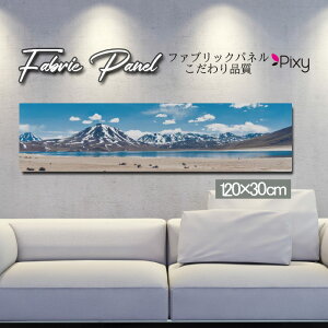 �t�@�u���b�N�p�l�� 120x30cm �A�[�g�p�l�� �f�U�C���p�l�� ������ ���� �C���e���A �A�[�g �p�l�� �Ǌ|�� DIY �I�V���� �t�H�g�p�l�� �E�H�[���A�[�g �k�� �k���� �X�� �J�t�F �T�}�[ �� �T�[�t