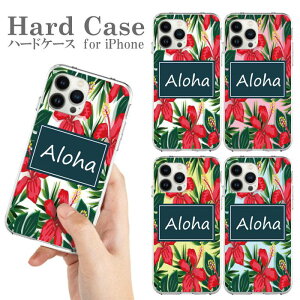  X}zP[X n[hP[X gуP[X iPhone 15 iPhone 15Pro Plus ProMax iphone14 iphone13 Pro ProMax mini iPhoneSE Jo[ NA V̖ T[tB T[t{[h SURF r[` C C T[t C 