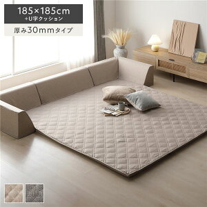 極厚 ラグ 背クッション セット 約185×185cm+U字クッション 厚み30mmタイプ ベージュ 高反発ウレタン 滑り止め加工付き カバーリング仕様 簡単付け替え 洗えるカバー付き オールシーズン快適