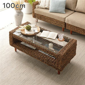 [e[u 100cm RpNg KXV rt It Rf AoJ e[u rg CeAƋysz