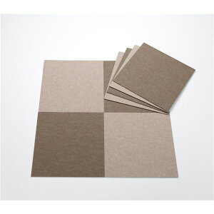 �T���R�[ ���������z�� �o���A�t���[�^�C���}�b�g 30×30cm �u���E�� 8���� KE-90