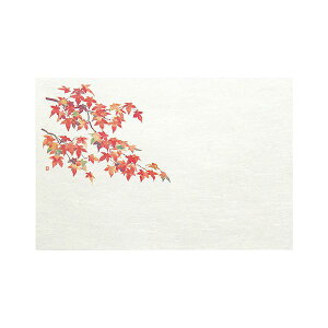 }R[ p Ɩp 3_a΂܂ lG gt (50) yamaco64381