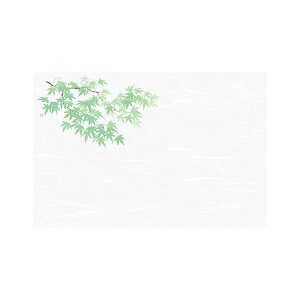 }R[ p Ɩp 3_a΂܂ ͒W ݂ (100) yamaco68045