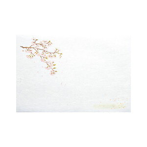 }R[ p Ɩp 3_a΂܂ ͒W  (100) yamaco65201