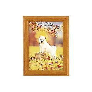 i܂Ƃ߁jtWJ[ ʐ^ Mt-K2 uEy×30Zbgz