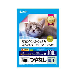 �T�����T�v���C �C���N�W�F�b�g�p���ʈ�����E����(��e��) JP-ERV5NA4N-100