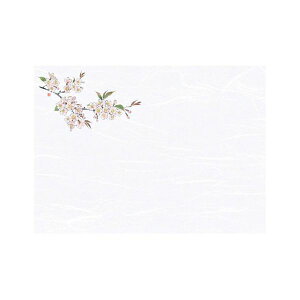 }R[ p Ɩp 3_a΂܂ ԍ(͂Ȃ)  (100) yamaco66429