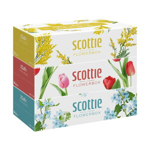 {NVAXRbeB eBV[ t[{bNX 250g^ 1Zbgi54F3×18pbNj