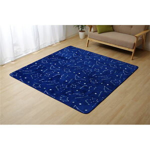 �t�����l�� ���O�}�b�g/�O�~ �y�l�C�r�[ ��200cm×250cm�z �R�� �h�L �􂦂� �z�b�g�J�[�y�b�g�Ή� RUG�y����s�z