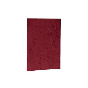 (ƖpZbg) ؏t@CiR[i[tj zNX\iXG[hj^Cv A4 FSS-A4C-R GWy×5Zbgz