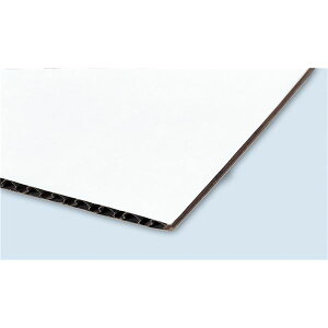 (܂Ƃ)A[ebN Жʔi{[(10g) y×10Zbgz