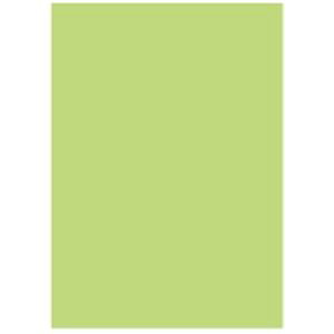 (業務用5セット) 北越製紙 カラーペーパー/リサイクルコピー用紙 【A5 500枚×10冊】 日本製 グリーン(緑)
