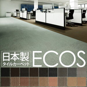 Ɩp ^CJ[ybg ySG-312 50cm×50cm 20Zbg XgCvz { h  h d X~mG wECOSxysz