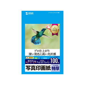 �T�����T�v���C �C���N�W�F�b�g�ʐ^��掆�E���� JP-EP2NLN