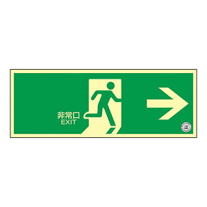 Px~W(ǖʃXebJ[^Cv)   TSN801ysz