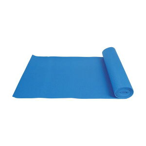 TRUSCO PVC�}�b�g ��6mm×1730mm �� TPM0660-BL 1�{