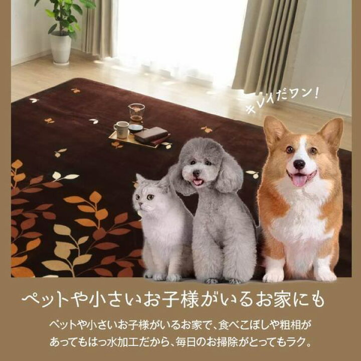 楽天市場】ラグマット/絨毯 【長方形 ベージュ 約235×330cm】 洗える 
