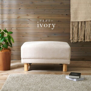 Ibg} Xc[ 78×s63×42cm AC{[ gi r̂ rO _CjO CeAƋysz