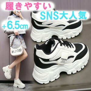 _SS蔼zZ[I^_bhXj[J[ fB[X X|[eB ؍Xj[J[ 6.5cm\[ {[Xj[J[IV ؍t@bV ؍ 킢 JWA 