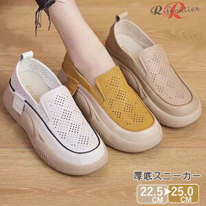 Xj[J[ bV IVXj[J[ fB[X  q C zCg CG[  C XN[V[Y V[Y ʊw Xj[J[ Ȃ K ʋC  gAbv 