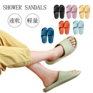 V[T_ fB[X Y oXXbp  CG[  oXT_ x_ oX[ gC x_  Xbp  j y _炩 \tg Vv 