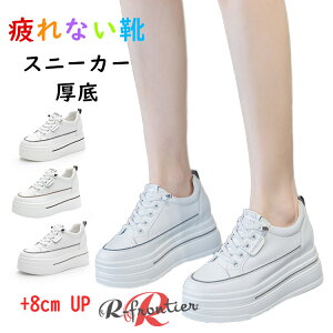  Xj[J[  8cm fB[X LoX Xj[J[ ₷  ؍ ɂ nC\[  y r ubN zCg gAbv  fB[X [Jb