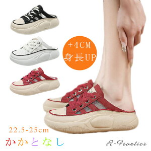 ƂȂ Xj[J[  fB[X Xb| y 4cm ₷ ȂC X|[cT_ fB[X ܐ悠 T_Xj[J[ V[Y Ȃ wlC ؍ r 