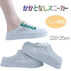  Xb| fB[X ƂȂ Xj[J[Ȃ T_Xj[J[ ʋC ₷ T_ q[ wlC ؍ fB[X r Ȃ ɂȂ gAbv ₷