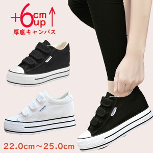 fB[X Xj[J[ LoX Xj[J[ Ȃ  6cm tbg IVXj[J[ nC\[ ɂ y r  zCg ubN gAbv  JWA