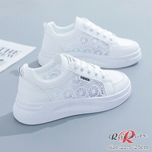Xj[J[ ʋC  Xj[J[ fB[X Ȃ Ȃ bV 璹 [ [X ʋC   V[Y WMO V[Y  ʊwC C ̎q _XV