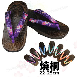 ʃT_   ɂȂ fB[X 25cm 䂩 ߉  ߂ɂȂ 23cm 24cm 25cm a  @   n čՂ ԉΑ Ղ l