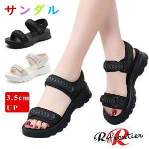 ȂT_ fB[X  ₷ X|[cT_ y Ȃ ꂢ T_ 3.5cm r fB[XT_  T_ _炩 L b O ItBXT