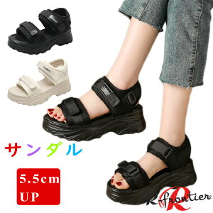 ȂT_ fB[X  X|[cT_ ꂢ T_ 5.5cm ₷ y r fB[XT_ ɂȂ ItBXT_  d  _炩 L