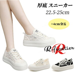 Xj[J[ T_ fB[X Xj[J[  Ȃ ؂ [X ₷ 4cm wlC q[ ʋC ₷ Ȃ Xj[J[ ؍ fB[X r ɂȂ 